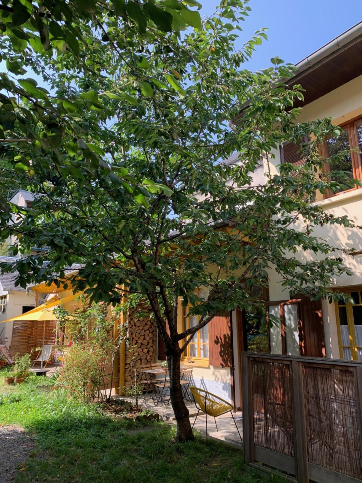Charmant Appartement Sur Cour, Le Cerisier Bagnères-de-Bigorre Екстериор снимка