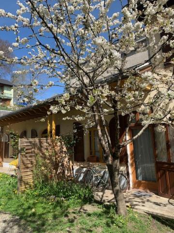 Charmant Appartement Sur Cour, Le Cerisier Bagnères-de-Bigorre Екстериор снимка