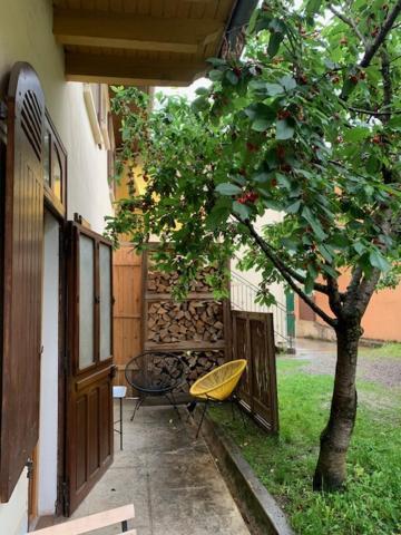 Charmant Appartement Sur Cour, Le Cerisier Bagnères-de-Bigorre Екстериор снимка